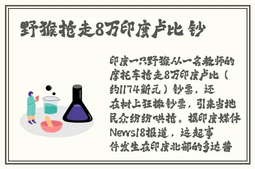 月夜免费正版怎么看